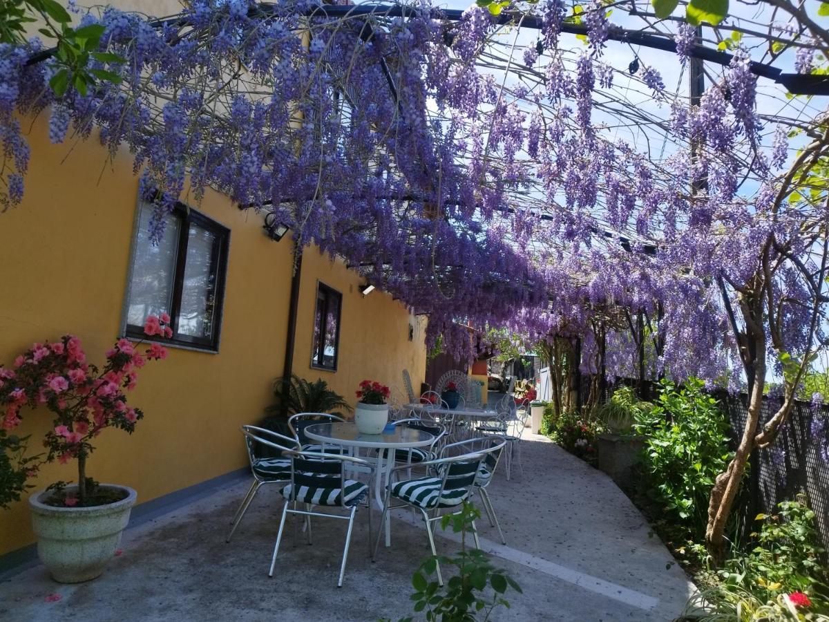 Casa Da Vieira Hotel Ourense Buitenkant foto